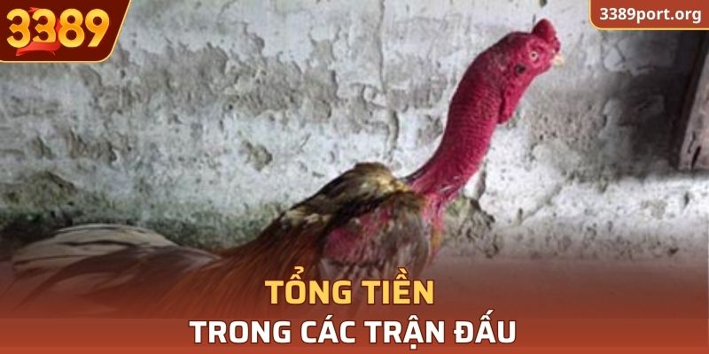 Tổng tiền trong các trận đấu