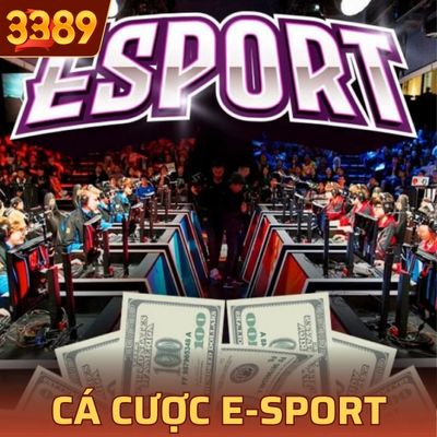 Cá Cược E-Sports