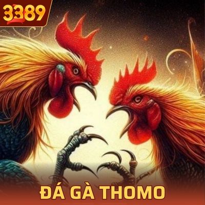 Đá Gà Thomo