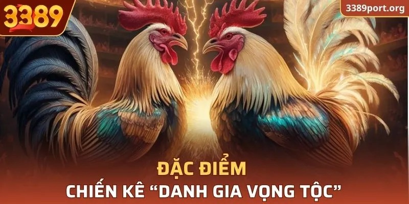 Đặc điểm chiến kê “danh gia vọng tộc”