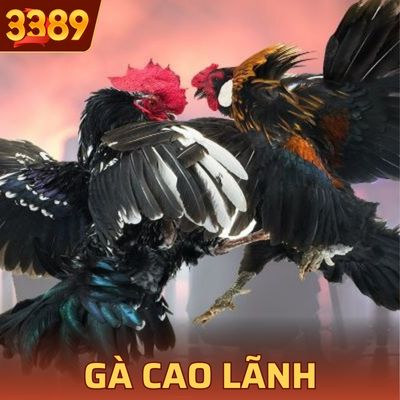 Gà Cao Lãnh